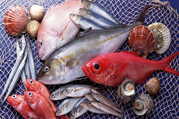 Эта рыба — яд в чистом виде: 60 % населения планеты ежедневно наносит колоссальный ущерб здоровью!