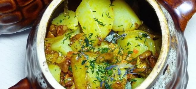 Говядина в горшочках — рецепты в духовке с картошкой, гречкой, черносливом и овощами