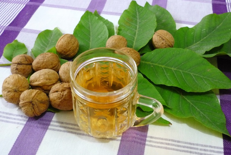 Как используются листья грецкого ореха в медицине