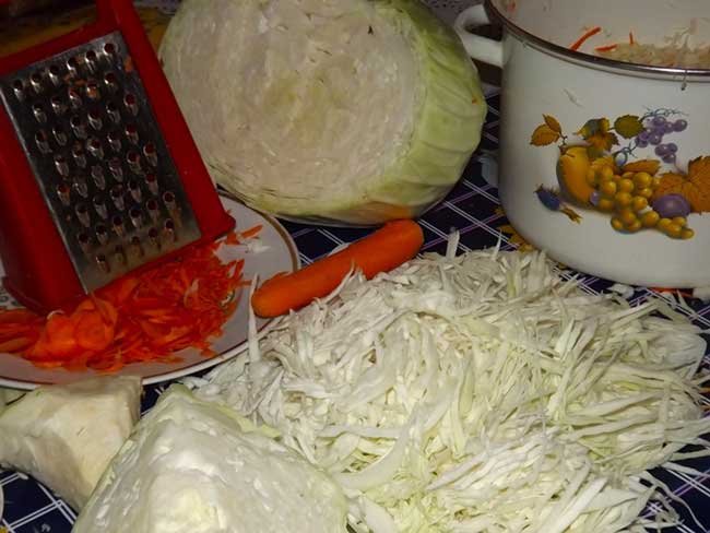Кулинарные рецепты: солим капусту на зиму
