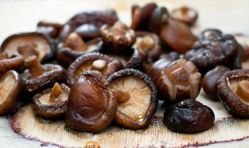 Лечебные свойства чудесных грибов шиитаке