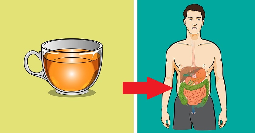 Полезные свойства чая