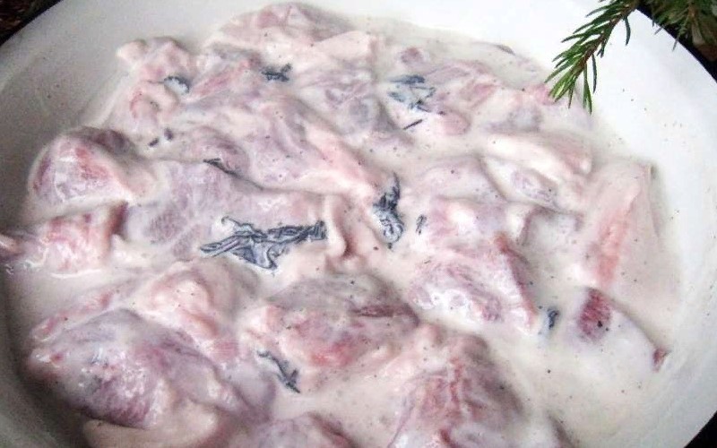 Шашлык из свинины — 5 самых вкусных маринадов, чтобы мясо было мягким и сочным