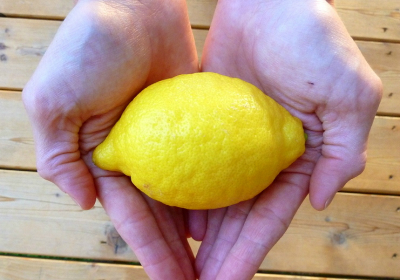 Сушеная лимонная цедра